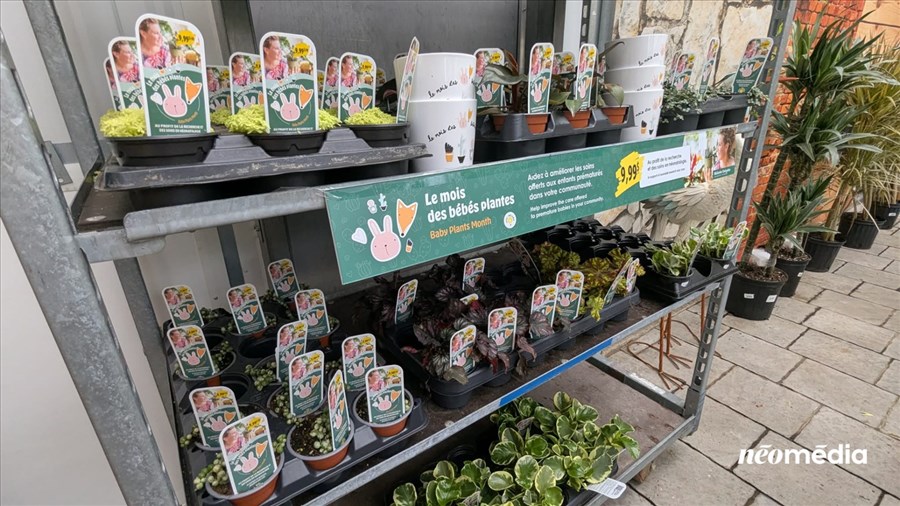 Plus de 14 000 $ amassés lors du mois des bébés plantes