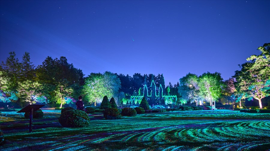 Allégeance, illuminations : un nouvel attrait touristique qui fait briller SCB
